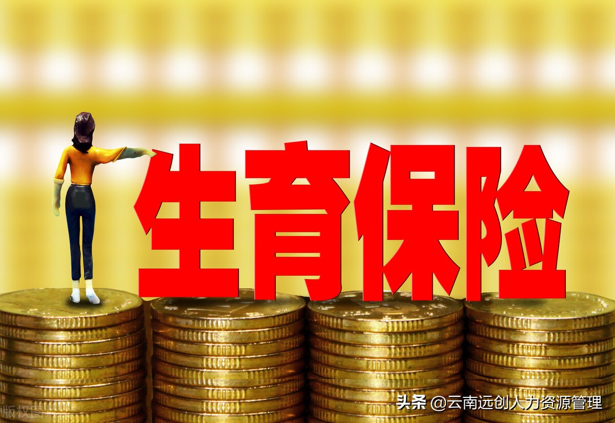 自己交保险可以不交生育金吗,没上班生育险可以自己续缴吗