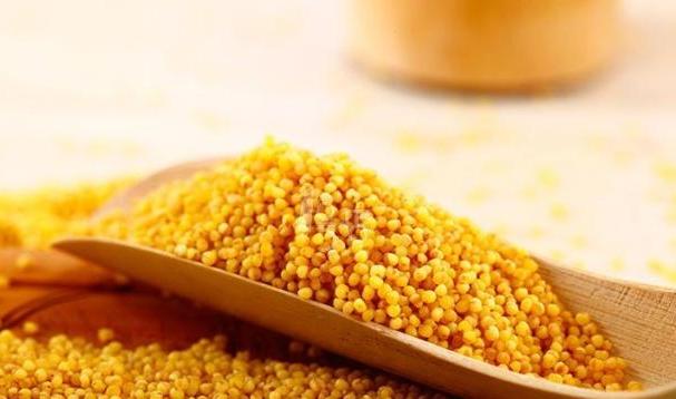 沁州黄产地是哪里,沁州黄是什么品种