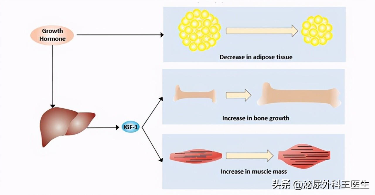 男人ed吃什么西药好,西地那非治疗ed效果怎么样