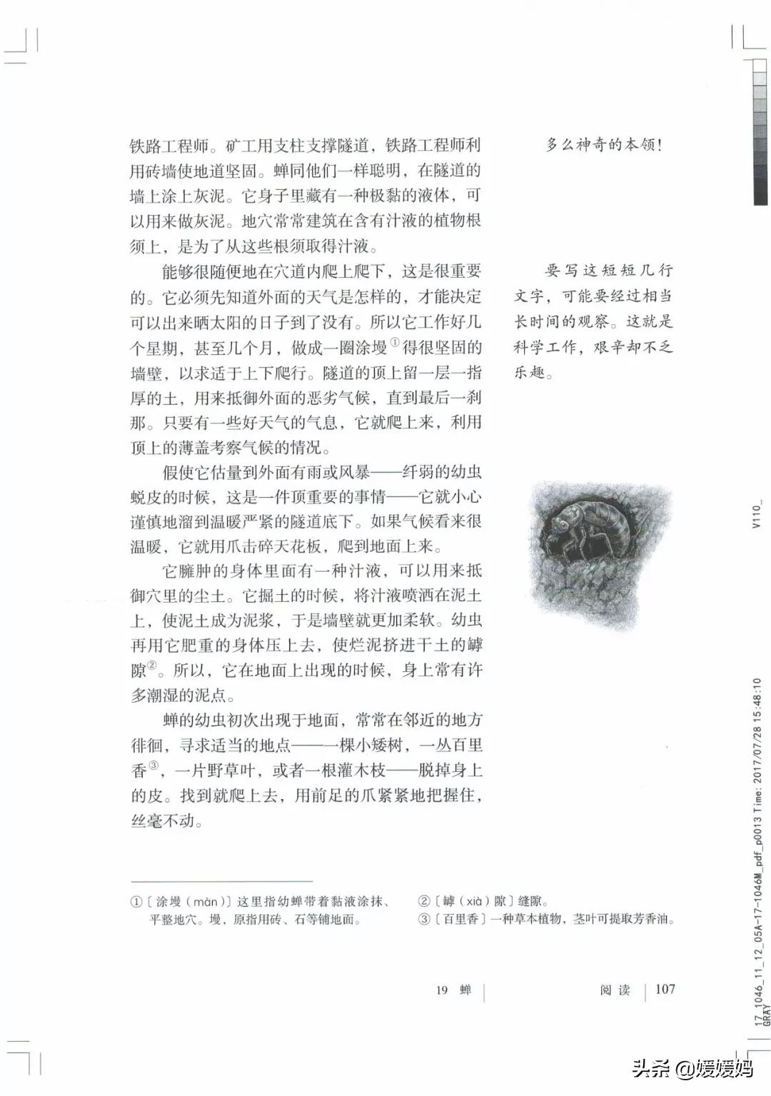 人教部编版八年级上册语文,八年级上册语文绩优学案电子课本