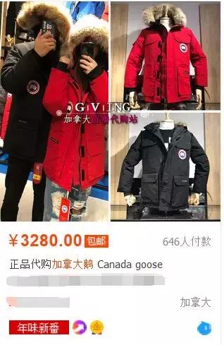 加拿大鹅二次鉴定,加拿大鹅网易考拉新闻