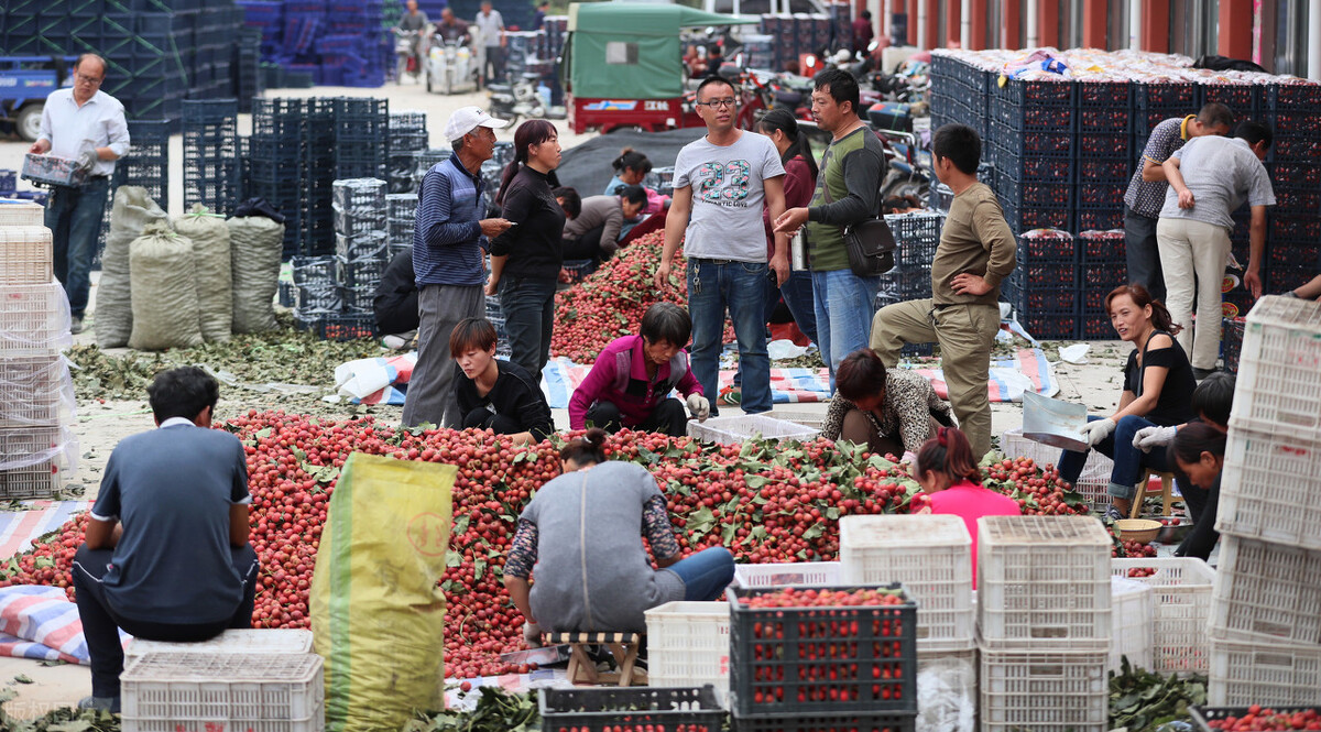 运城市十三县市有哪些,运城十三个县市有哪些