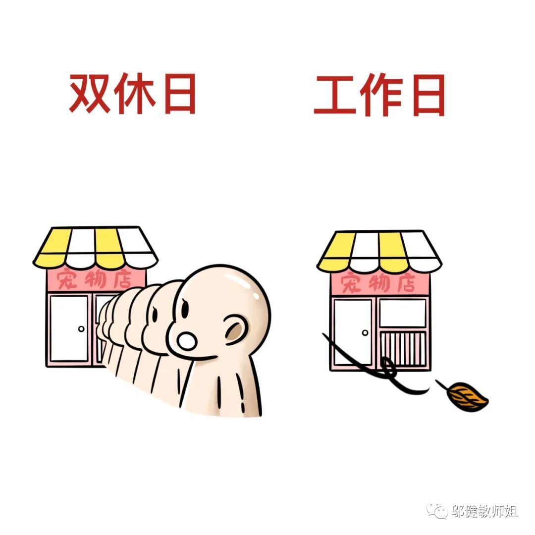 为什么现在开个宠物店那么难,宠物店不会告诉你的行业内幕