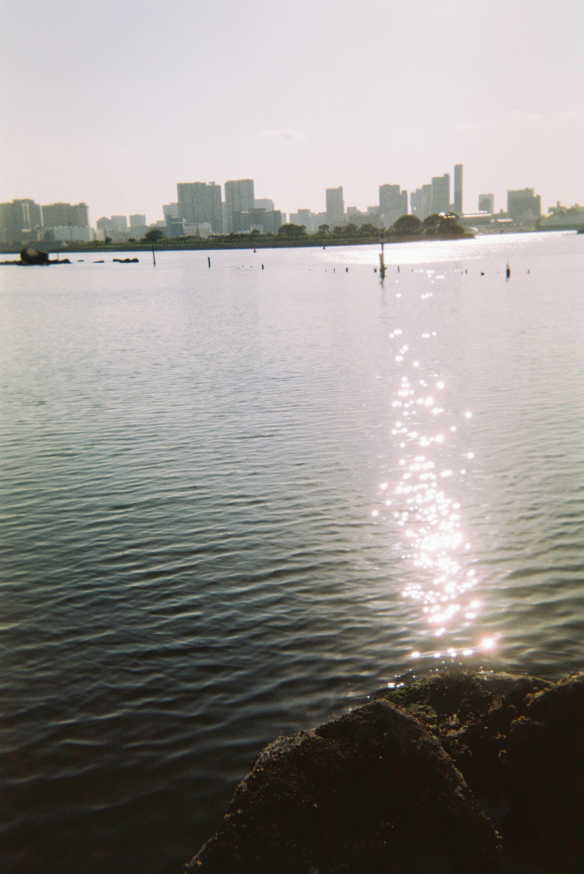 富士一次性胶片机日版与国产,富士一次性胶片机怎么自拍