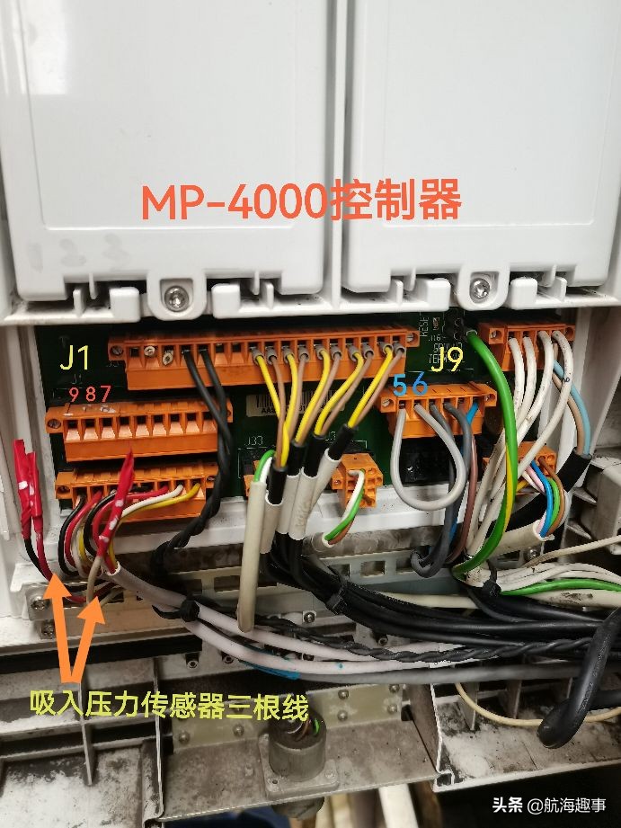 航海故事视频,航海王故事内容