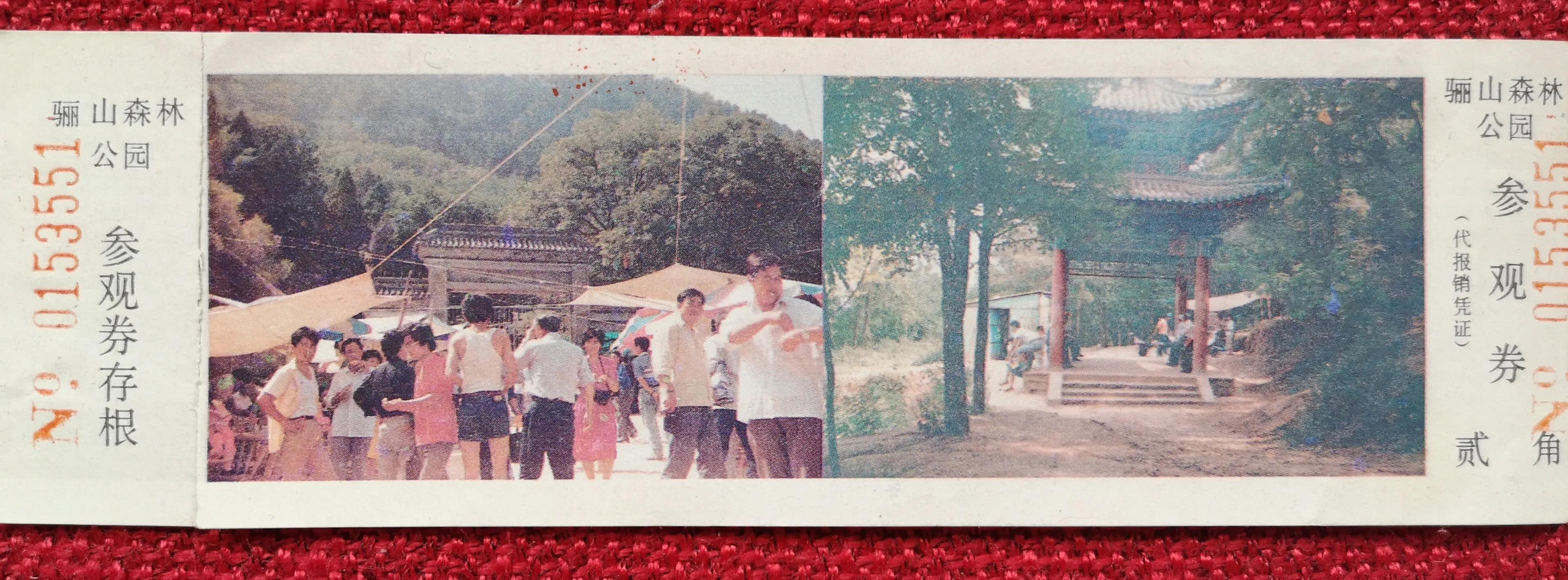 永久的记忆二十年后重游西安,十年后的重逢古都西安重游经典