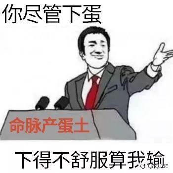 东部锦龟智商排名,红腹东部锦龟