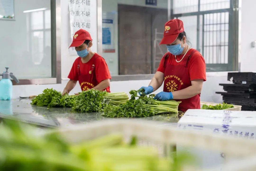 昆山企业盈利排行,昆山收入十强镇