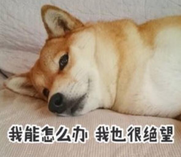 木那原石最顶级的翡翠原石皮壳,翡翠入坑最简单的方法