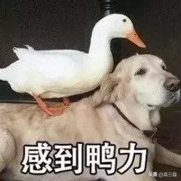 大学期末比较惨的十大专业,大学专业期末考试难度排行榜