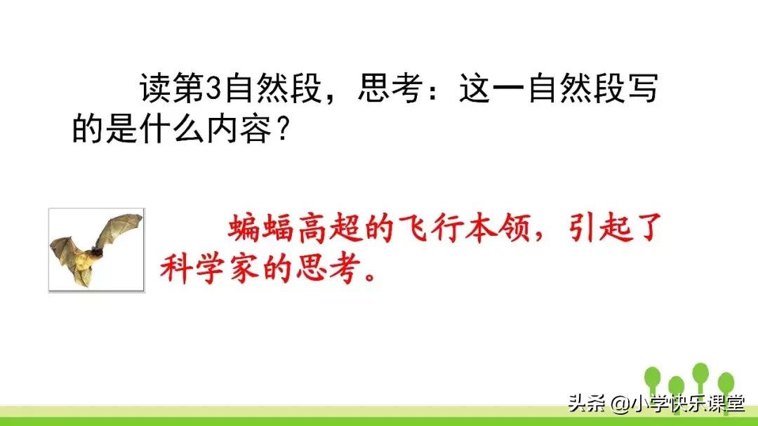 四年级上册语文蝙蝠和雷达课后题,部编版四年级上册语文蝙蝠和雷达