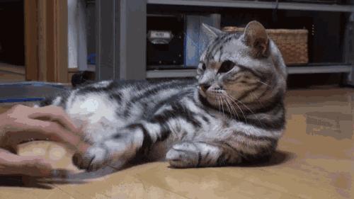 一直都真实存在的流言,一直有人在造谣我自己怎么办