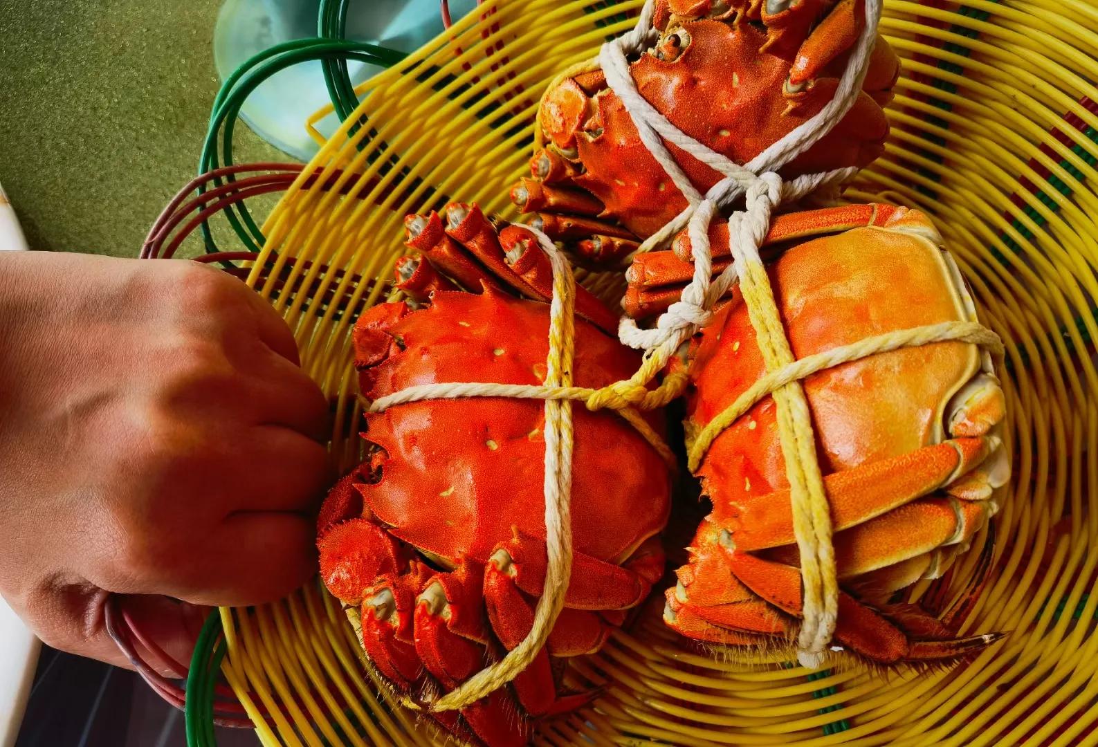 阳澄湖本地吃蟹攻略,苏州阳澄湖蟹