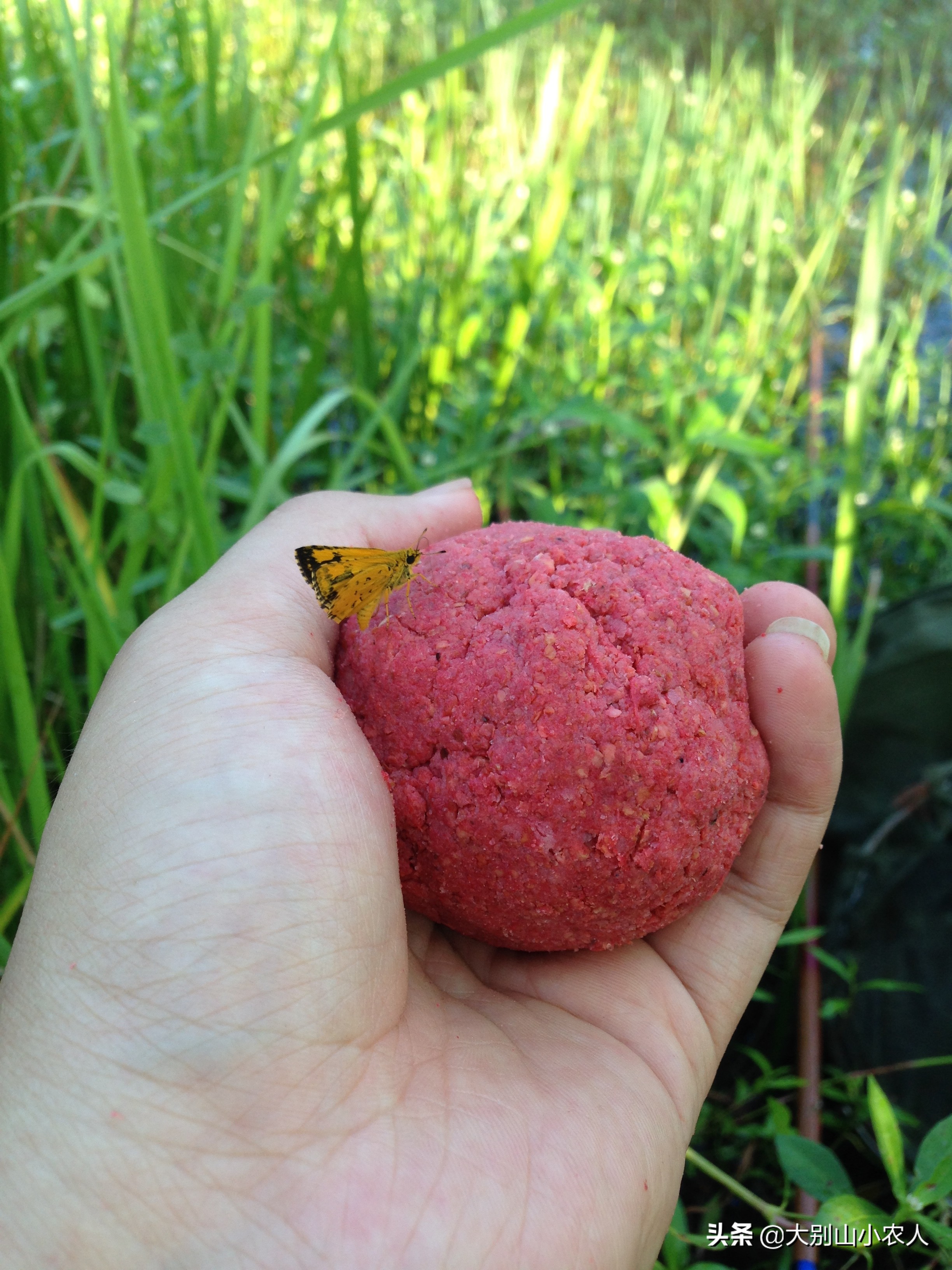 搓饵加酒米的使用方法,搓饵粘粉正确使用方法