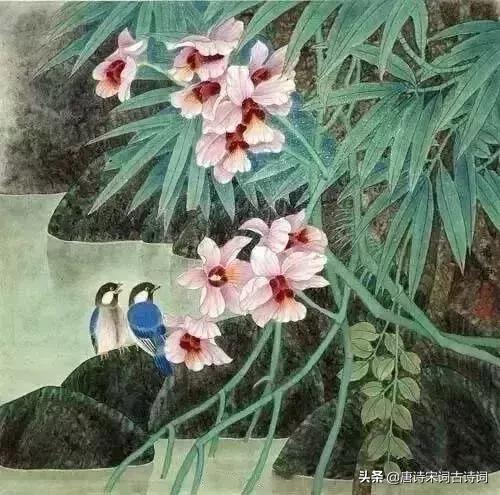 古人幽默古诗,趣味古诗跟读