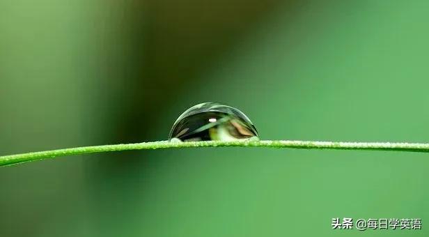 “下雨天”只会说“arainyday”?未免也太单调了