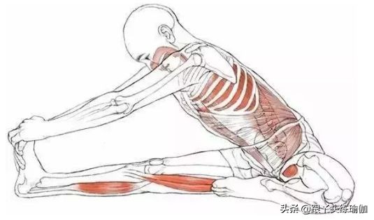 女性妇科皮肤病有哪些症状,女性常见的十大妇科疾病症状