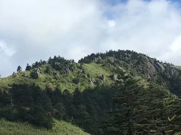 神农架大九湖最美雪景,神农架神农顶大九湖