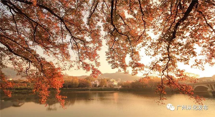 从化旅游度假推荐,从化旅游攻略从化一日游必去景点