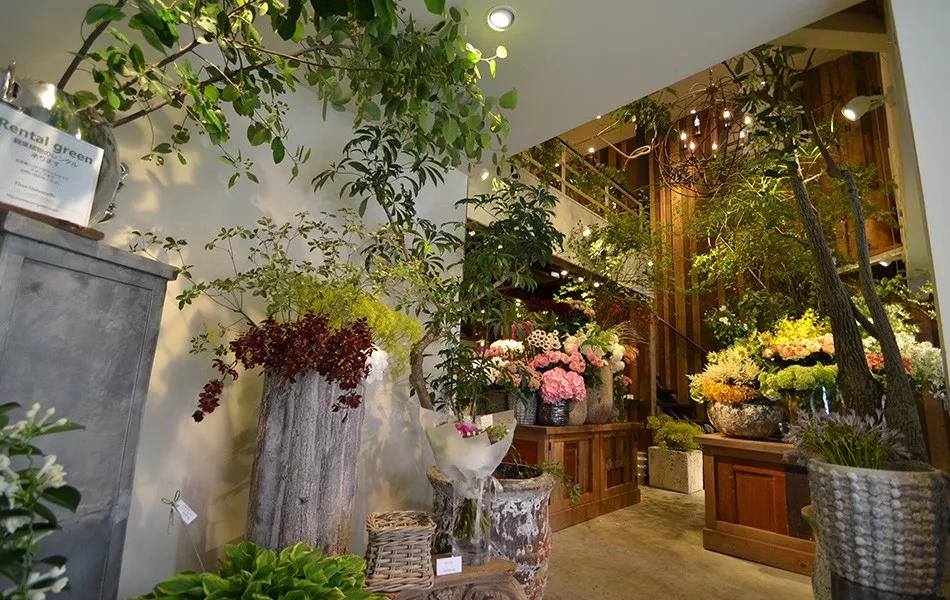 日本青山花店,日本花店推荐