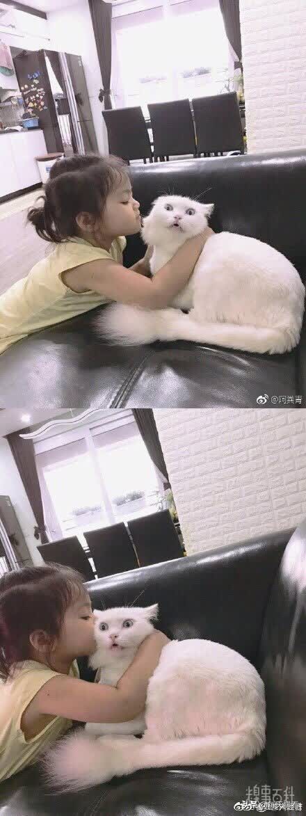 马肆求唐四字成语,舍求四字成语