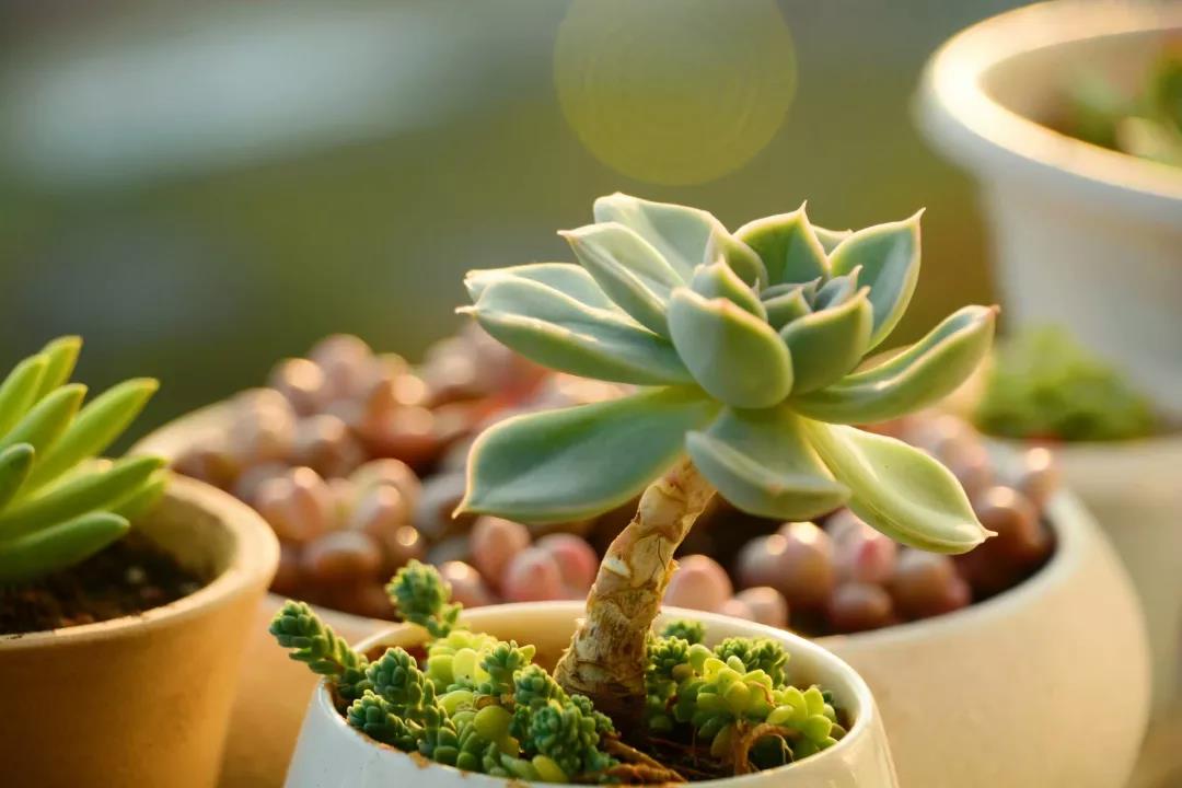 那些令人惊艳绝伦的情书,6行最惊艳的情书