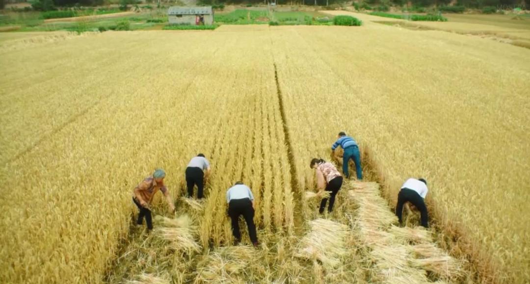 九月朱一龙,朱一龙王一博九月好剧