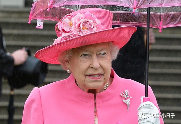 英国女王胸针高档轻奢,女王最贵胸针排行榜