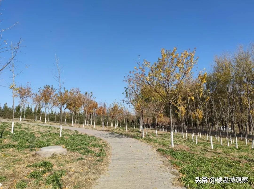 中海寰宇视界值得投资吗,中海寰宇视界有升值潜力吗