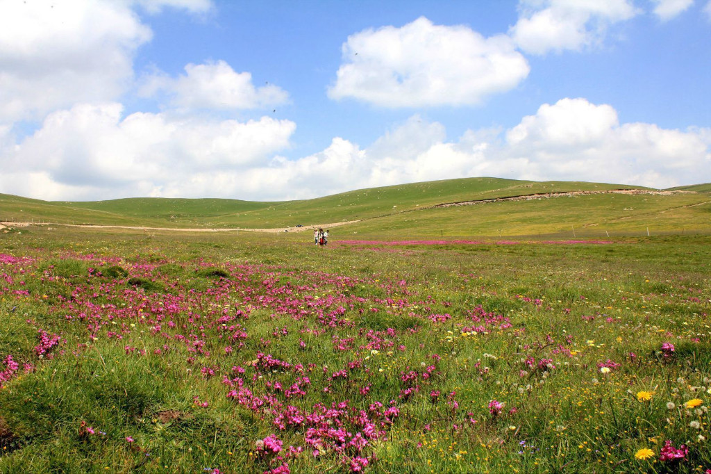 金银滩达玉部落天气,金银滩达玉部落门票