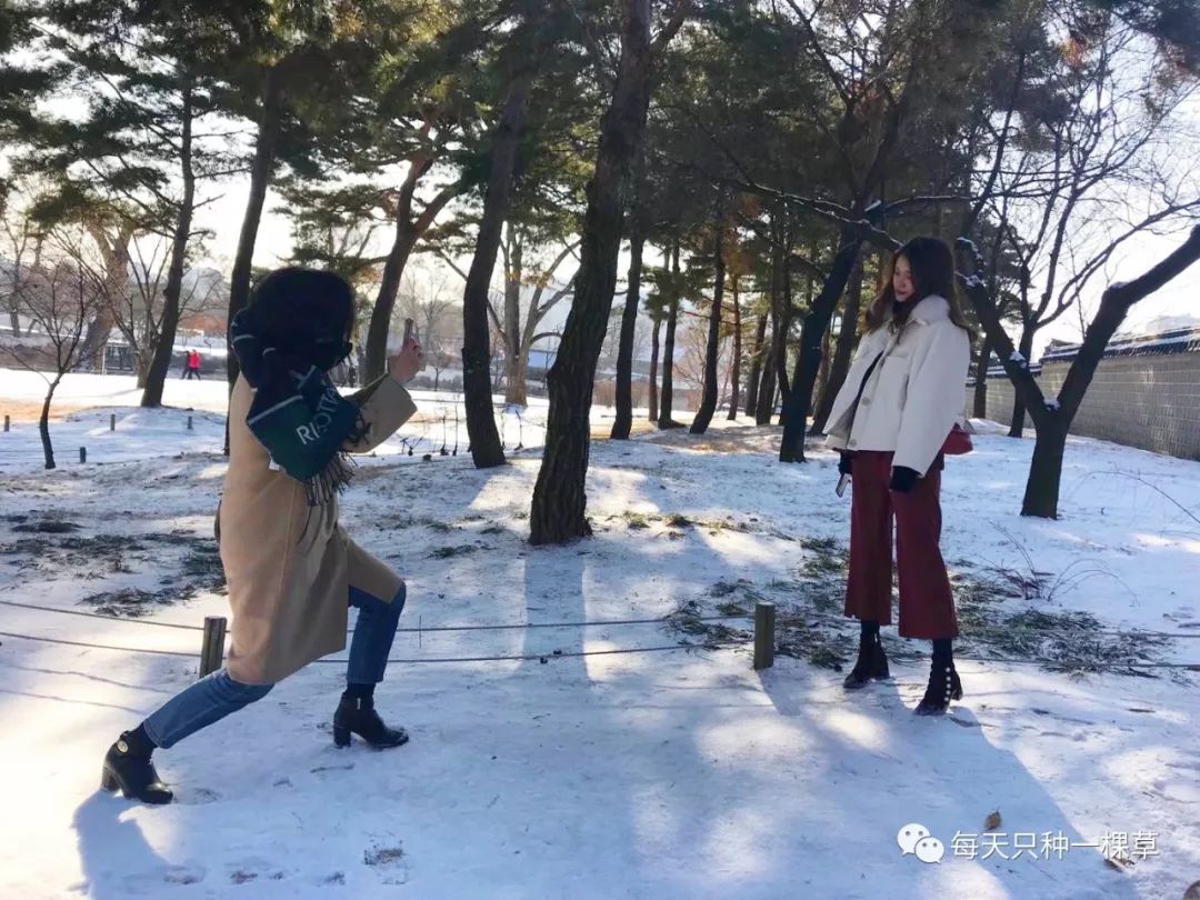 21天口红,30天口红打卡