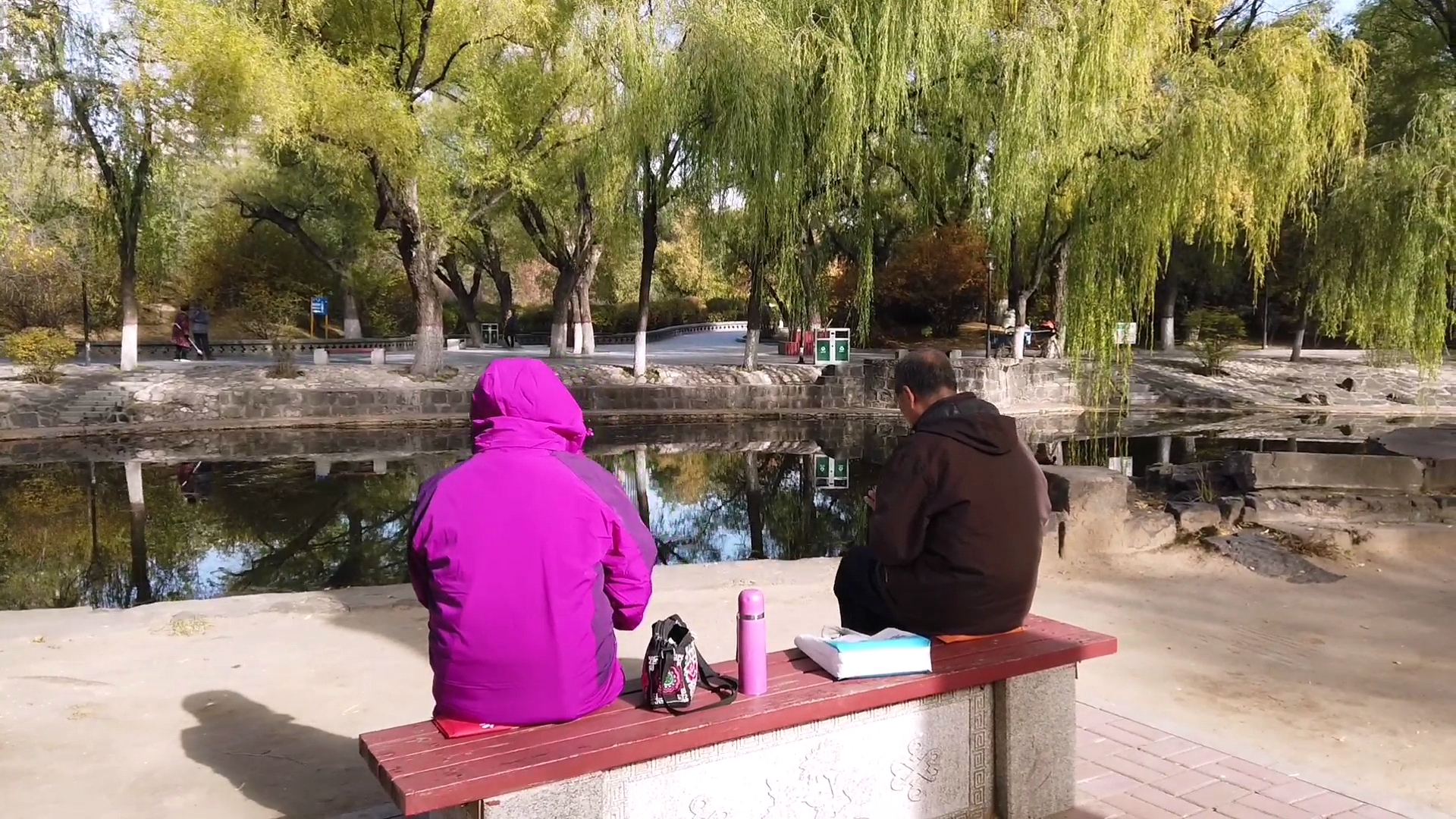 呼和浩特满都海公园晚上,呼和浩特市满都海公园有什么特点