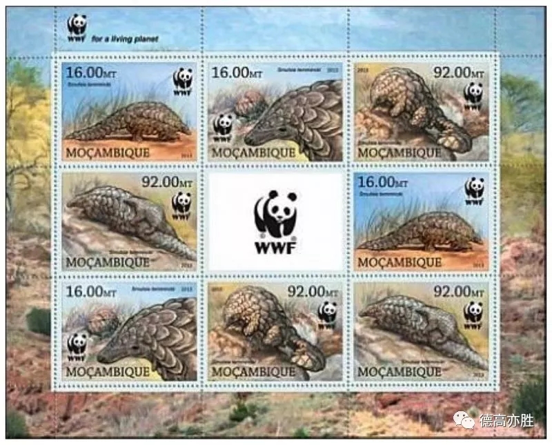 童正祥：邮票上的穿山甲故事