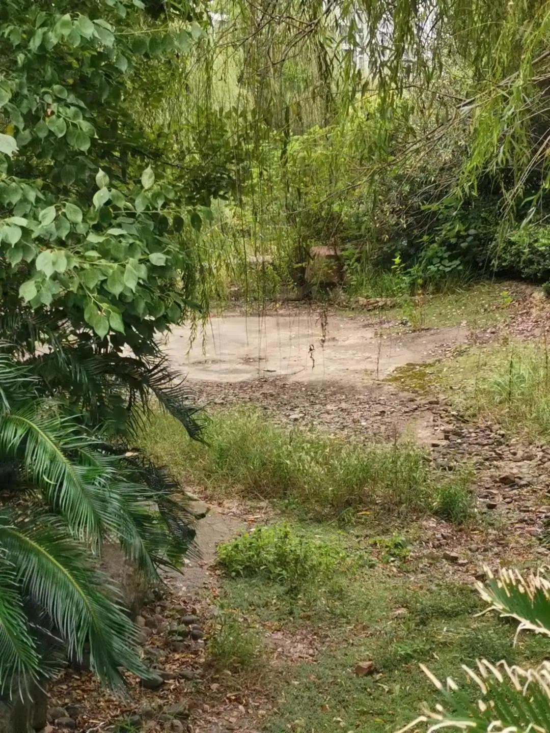 实探二手房,政务区栢悦公馆最新房价