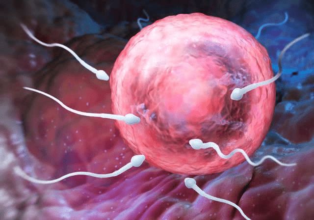 月经不正常滴滴答答,月经不顺畅稀稀拉拉十几天不干净