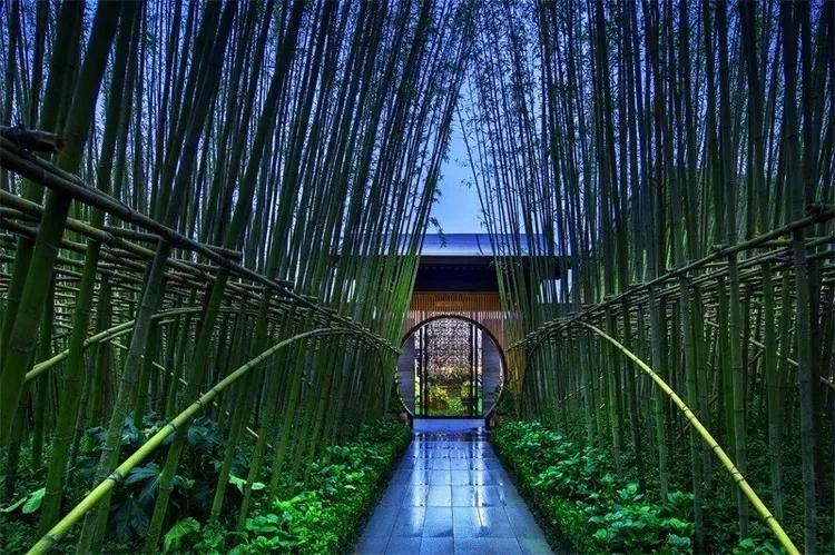 居住区植物景观设计原则,景观设计干货