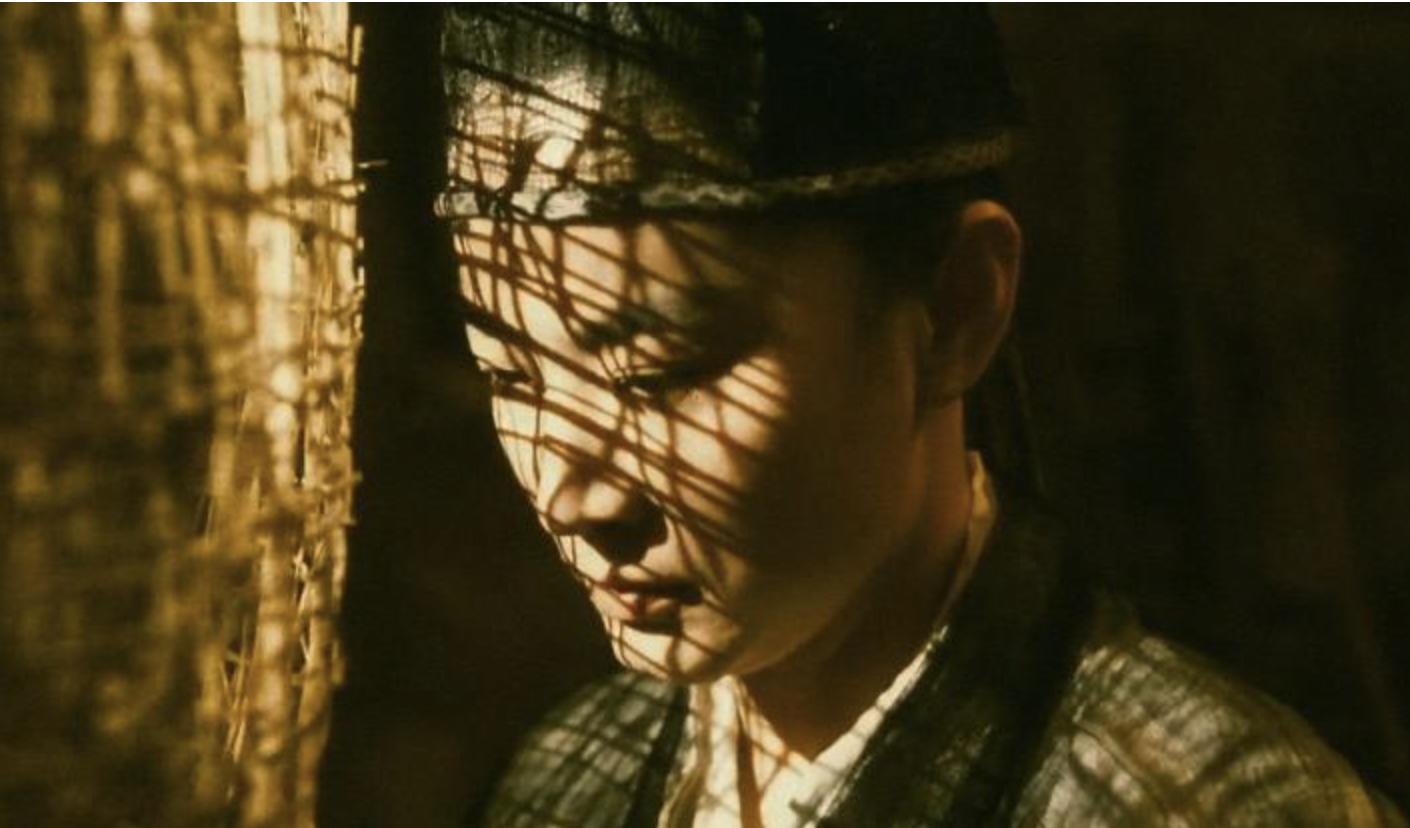 影后林青霞,林青霞红尘滚滚豪门情