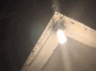 飞蚁大军空袭视频,飞蚁大军被空袭