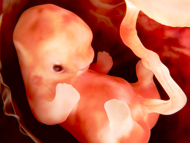 孕期出血及时就医可以保住吗,孕期出血治疗