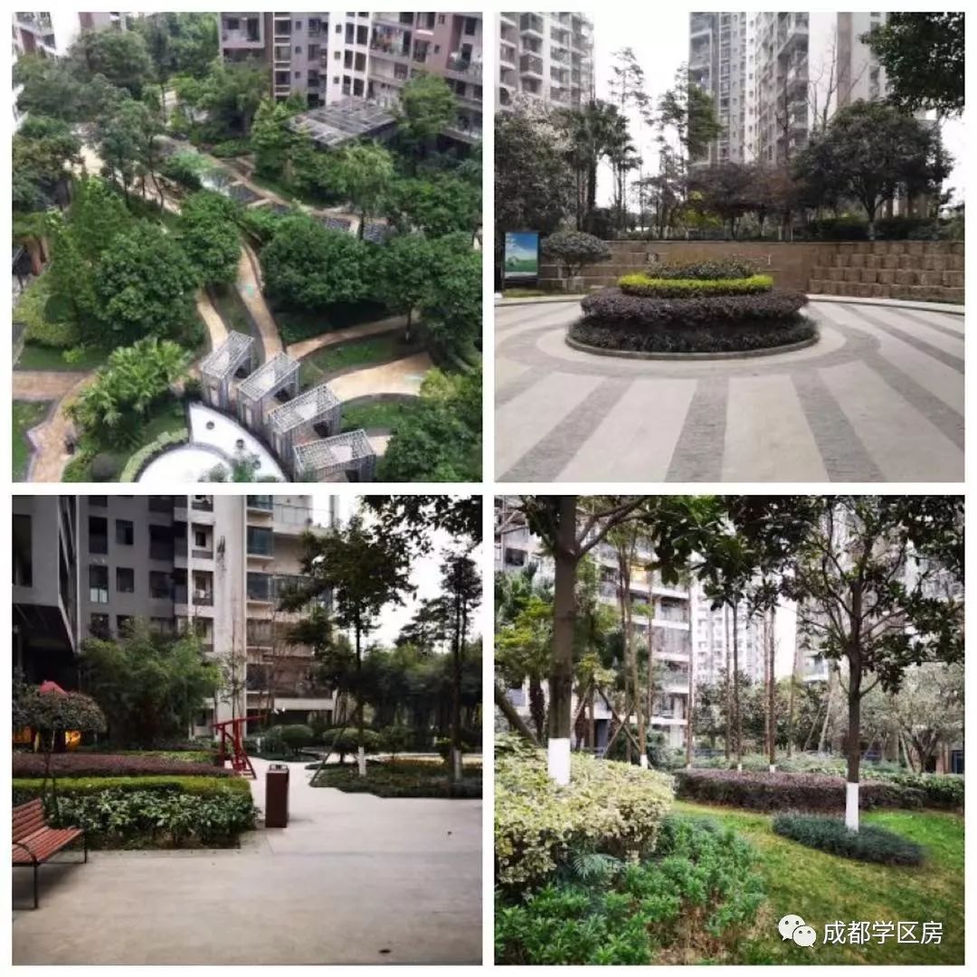 成师附小分校有哪些,成师附小哪个分校最好