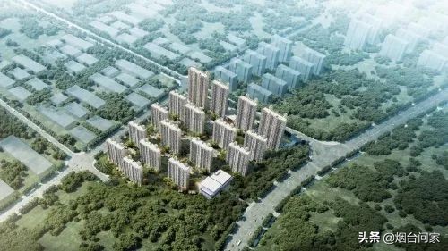 只楚万科城规划初中,万科城二期项目地址