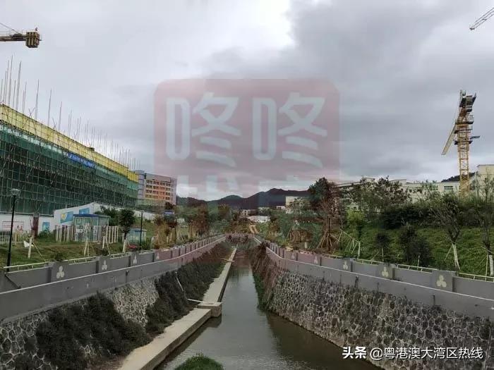 高端商住区旧改,网红片区新楼盘