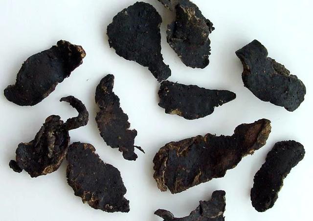 地黄为什么持续上涨,鲜地黄会发芽吗