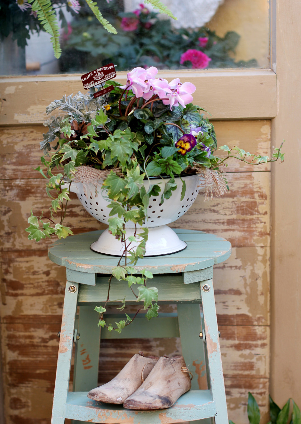 一个重度搪瓷爱好者的杂货花园