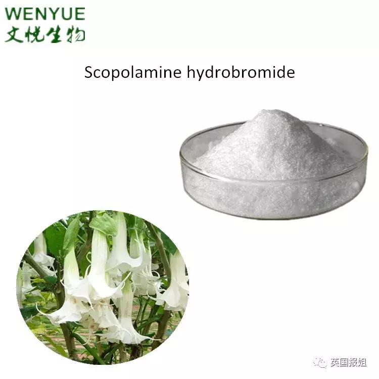 中国女生菲律宾被抓,菲律宾中国女游客被抓