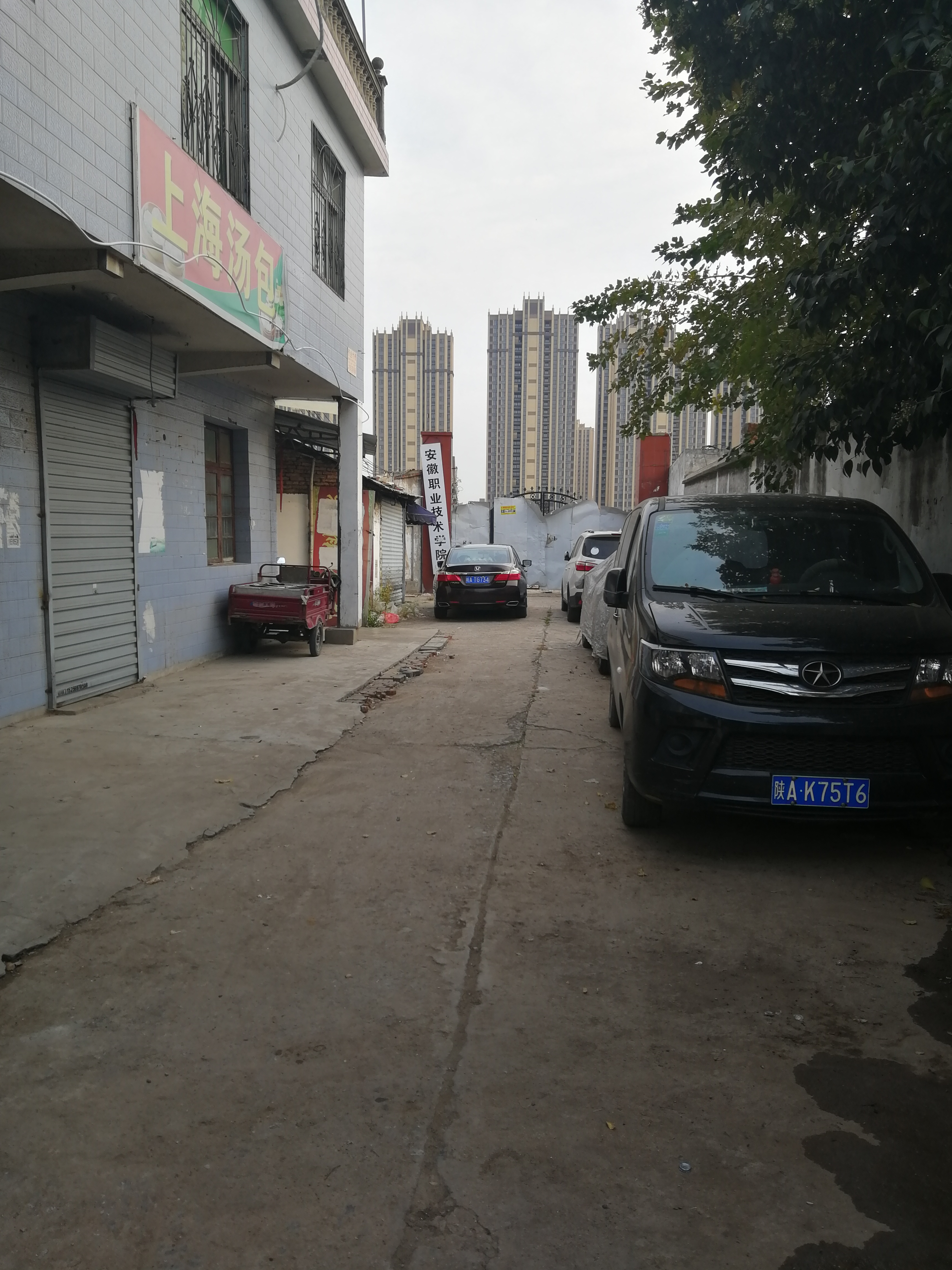 你好安怡安姨饰演者,你好安