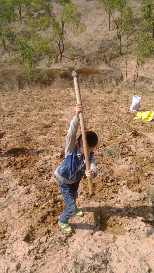 卖农资利润有多大,卖农资真的有用吗