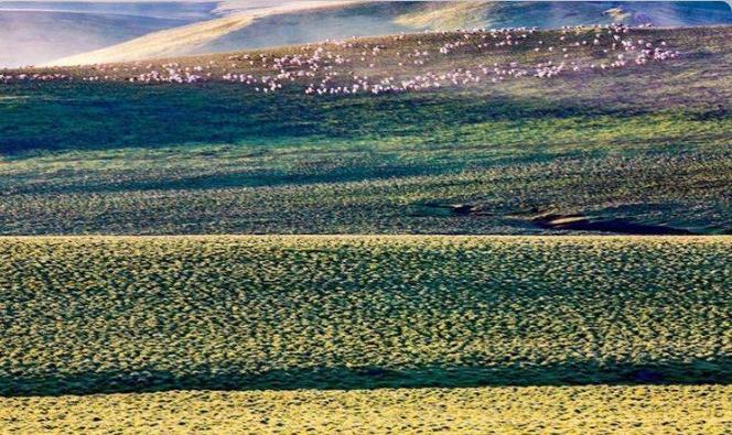 甘南最隐藏的地方,甘南隐藏的美景