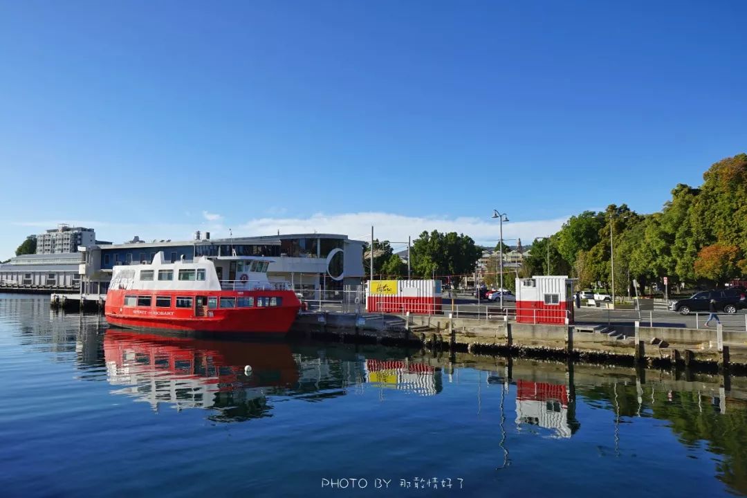 去哪里旅游可以看南极企鹅,旅游攻略南极看企鹅