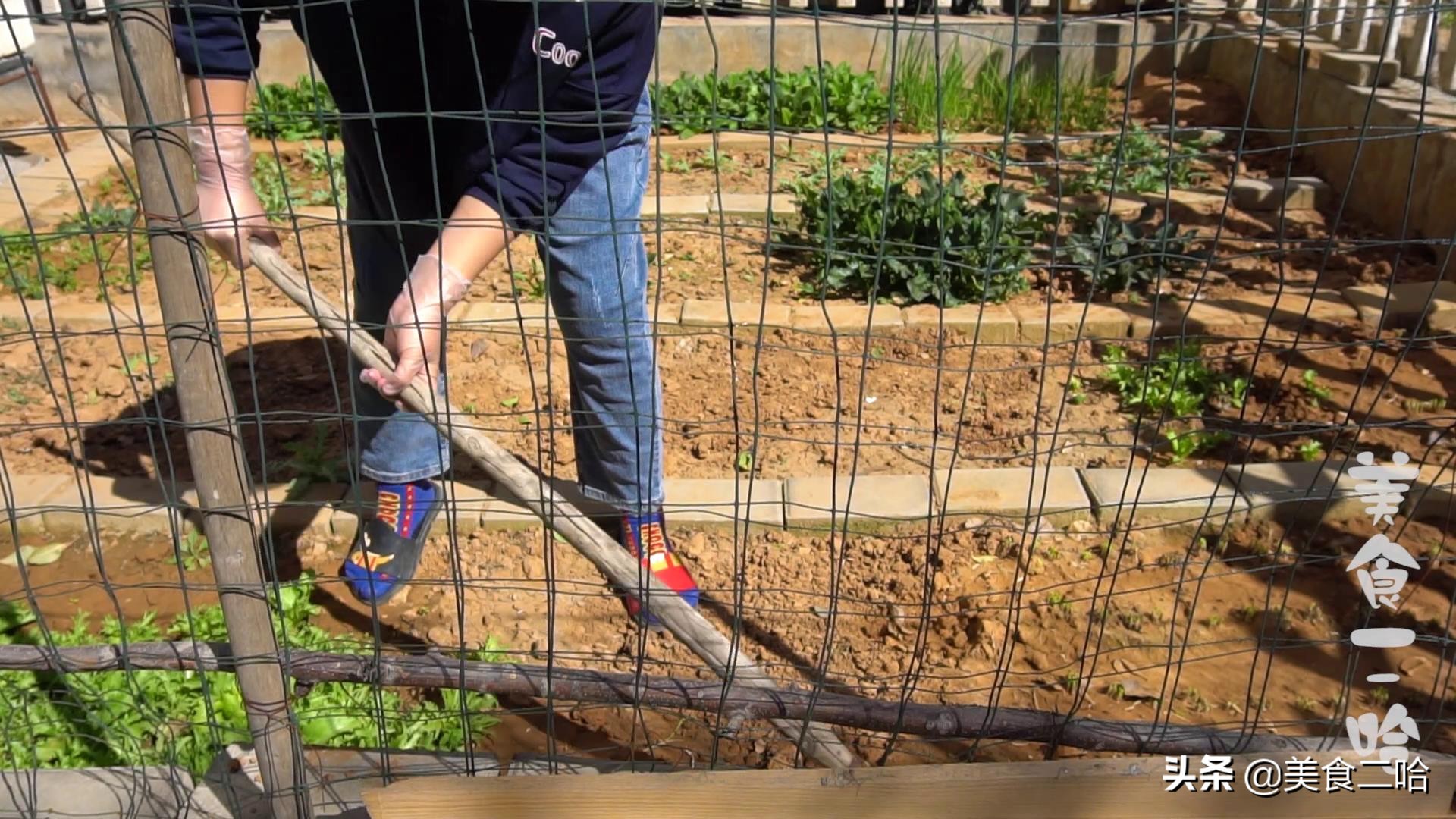 豆沙馅做法不用破壁机,豆沙馅怎么做又软又好吃